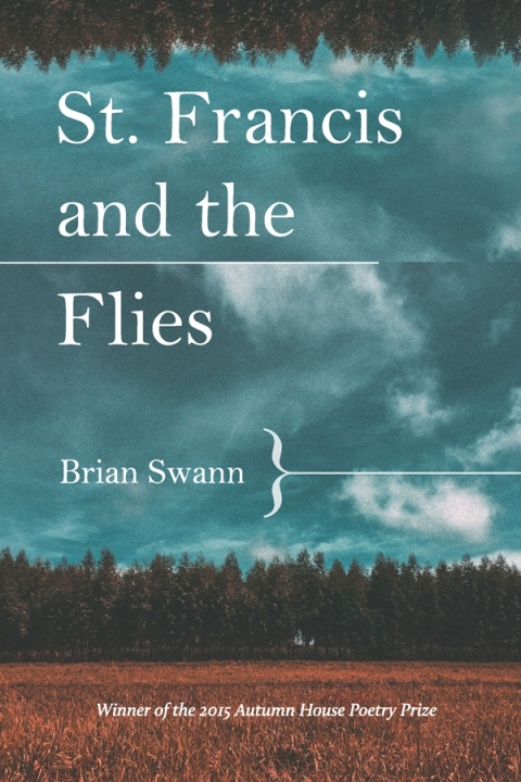 St. Francis and the Flies 
