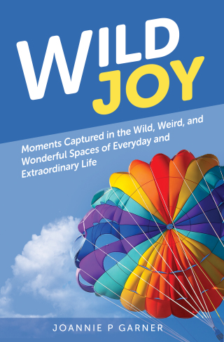 Wild Joy