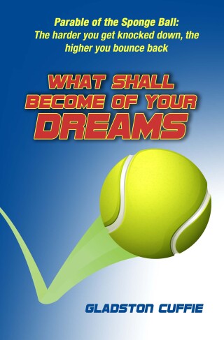 What Shall Become of Your Dreams: Parable of the Sponge Ball