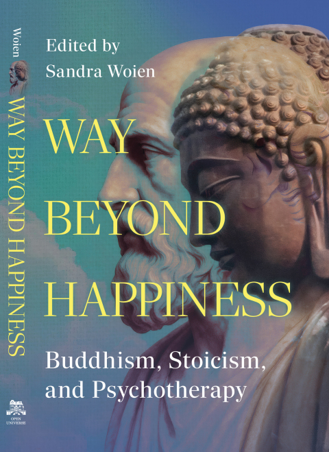 Cover image for book Way Beyond Happiness