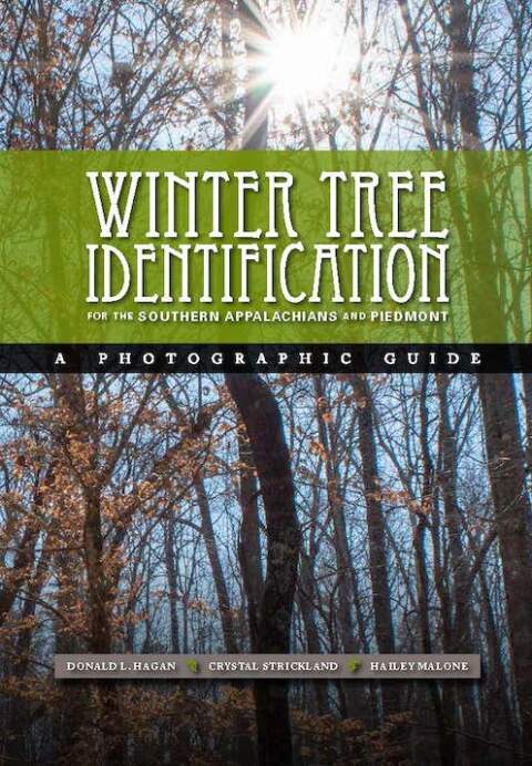 Cover image for book Winter Tree Indentification for the Southern Appalachians and Piedmont