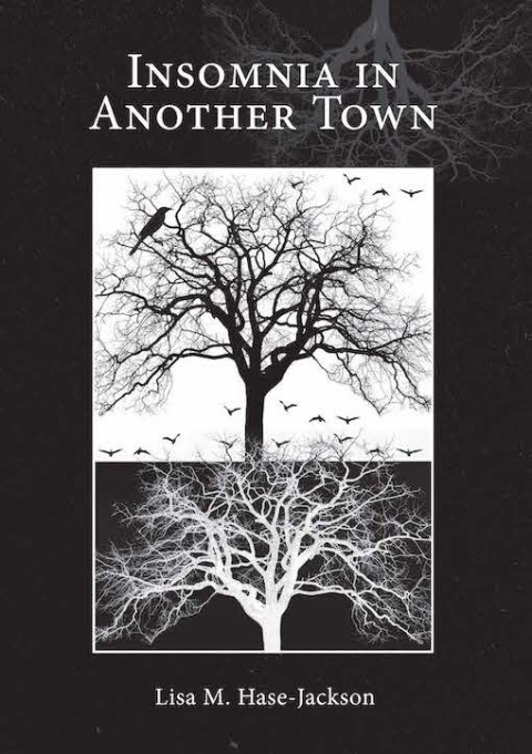 Cover image for book Insomnia in Another Town