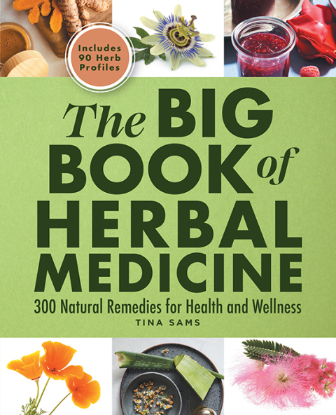 Cover image for book The Big Book of Herbal Medicine