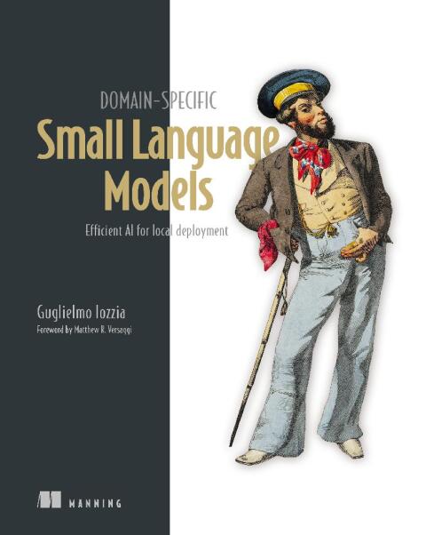 Cover image for book Domain-Specific Small Language Models