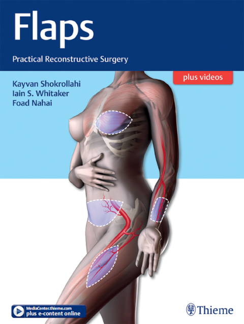 Cover image for book Flaps