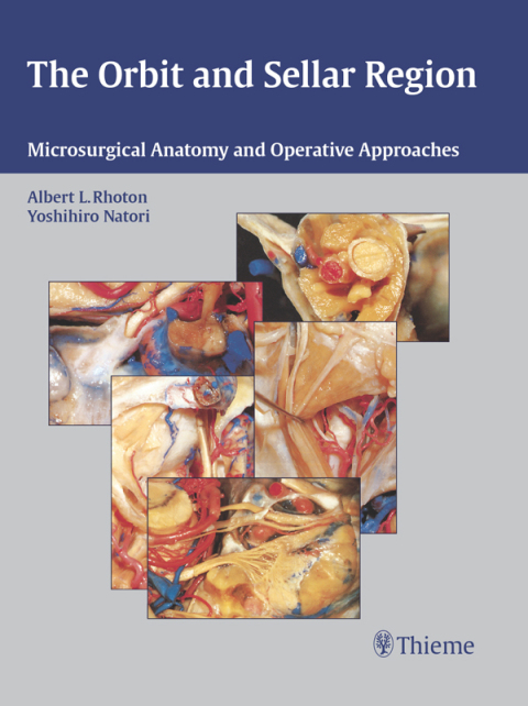The Orbit and Sellar Region 