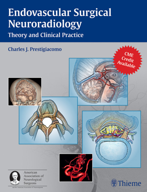 Cover image for book Endovascular Surgical Neuroradiology