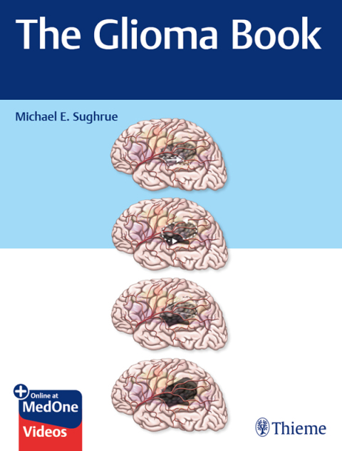 Cover image for book The Glioma Book