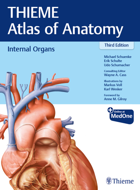 Internal Organs (THIEME Atlas of Anatomy) 