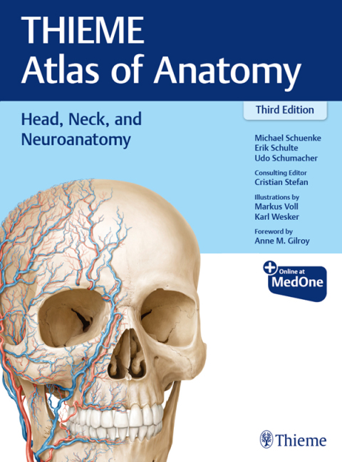 Head, Neck, and Neuroanatomy (THIEME Atlas of Anatomy) 