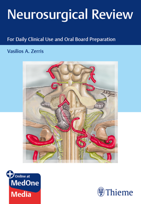 Cover image for book Neurosurgical Review