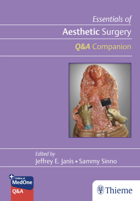 Cover image for book Essentials of Aesthetic Surgery Q&A Companion