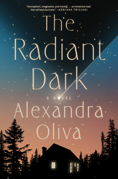 Cover image for book The Radiant Dark