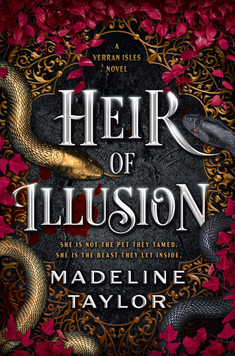 Cover image for book Heir of Illusion