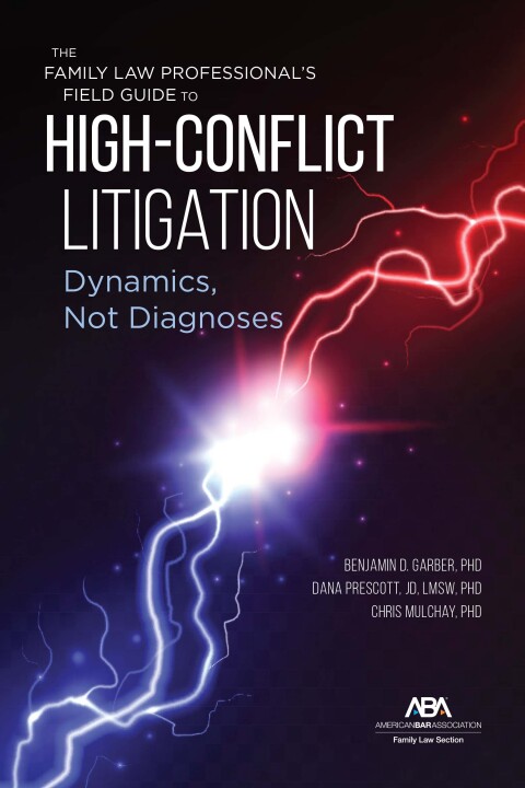 Cover image for book The Family Law Professional's Field Guide to High-Conflict Litigation