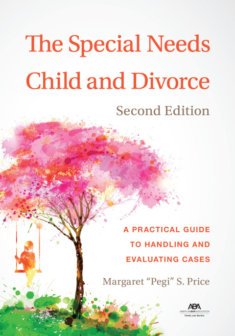 Cover image for book The Special Needs Child and Divorce