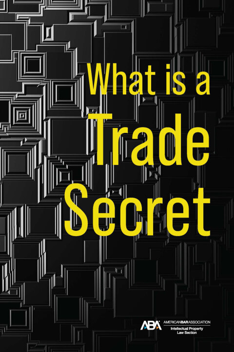 Cover image for book What is a Trade Secret