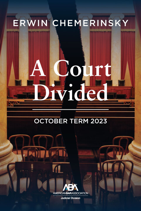 Cover image for book A Court Divided