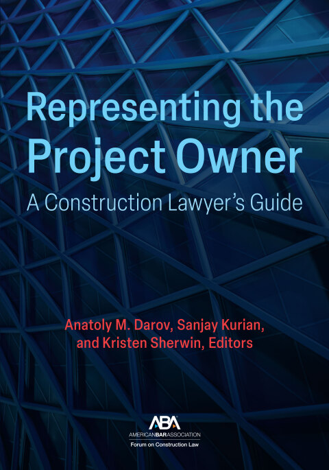 Cover image for book Representing the Project Owner