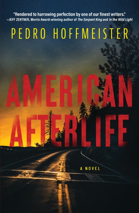 Cover image for book American Afterlife