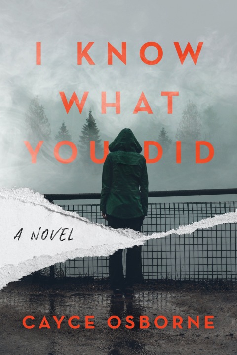 Cover image for book I Know What You Did