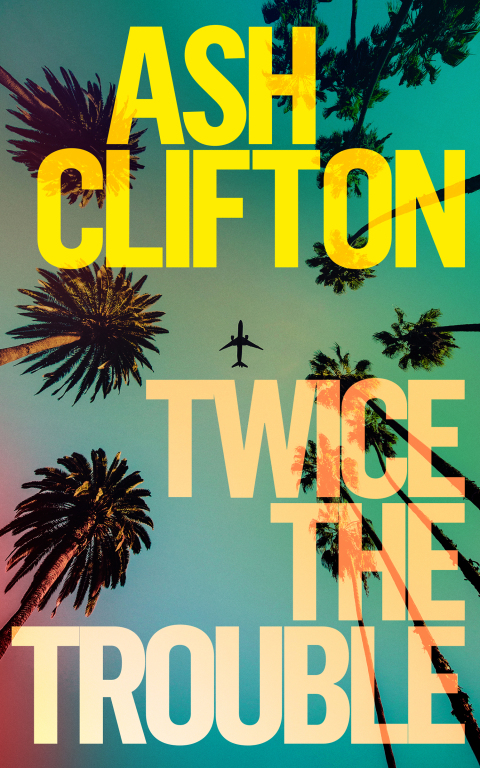 Cover image for book Twice the Trouble