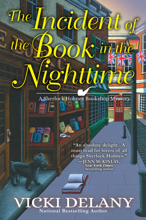 Cover image for book The Incident of the Book in the Nighttime