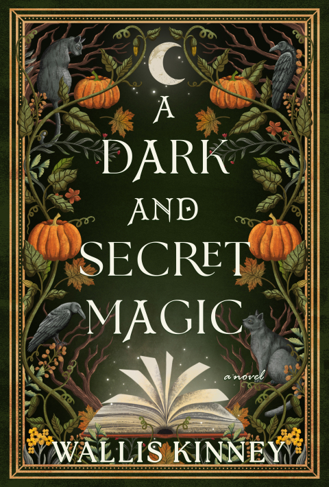 Cover image for book A Dark and Secret Magic
