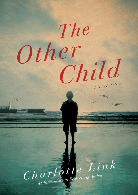 Cover image for book The Other Child