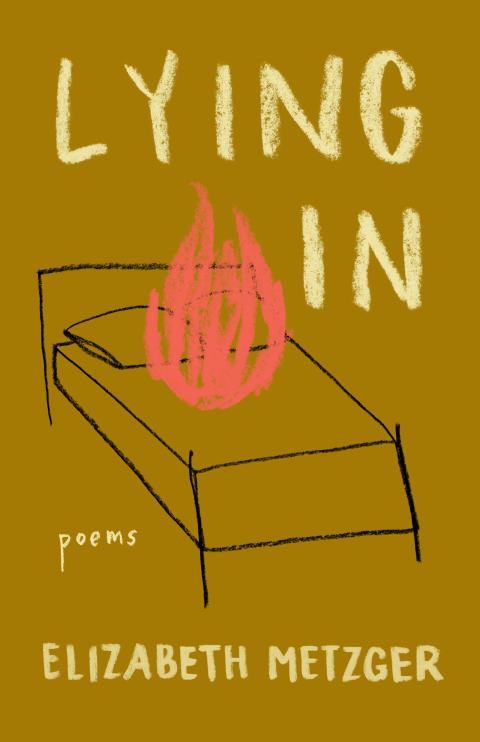 Cover image for book Lying In