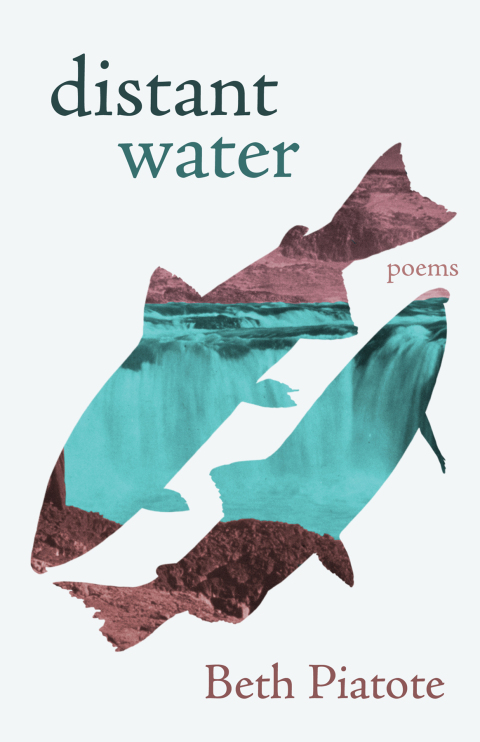 Cover image for book distant water