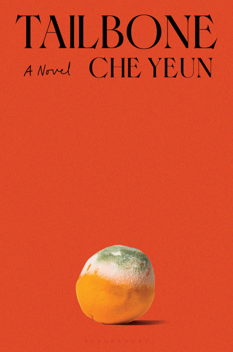 Cover image for book Tailbone