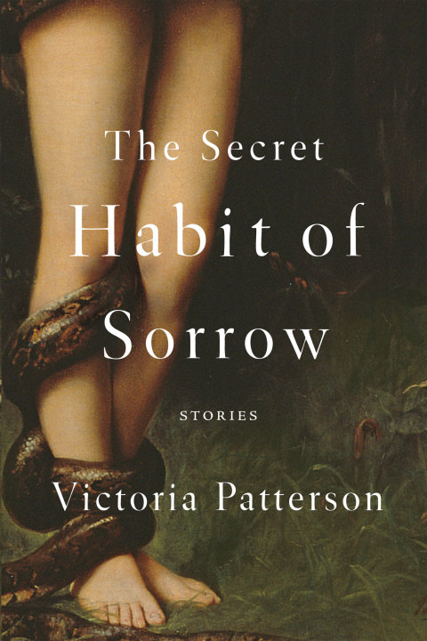 Cover image for book The Secret Habit of Sorrow