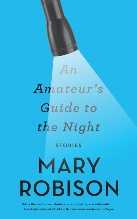 Cover image for book An Amateur's Guide to the Night