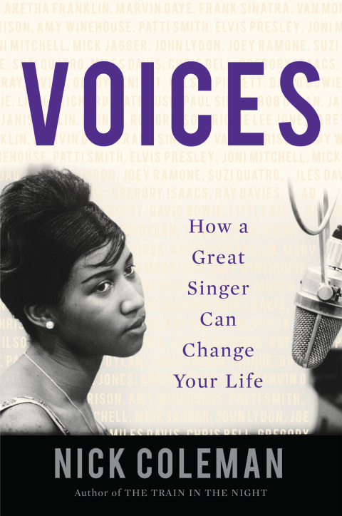 Cover image for book Voices