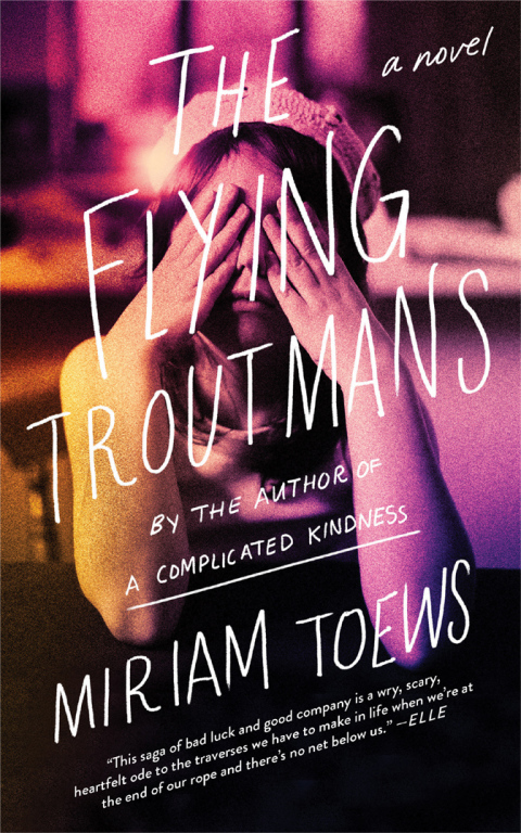 Cover image for book The Flying Troutmans