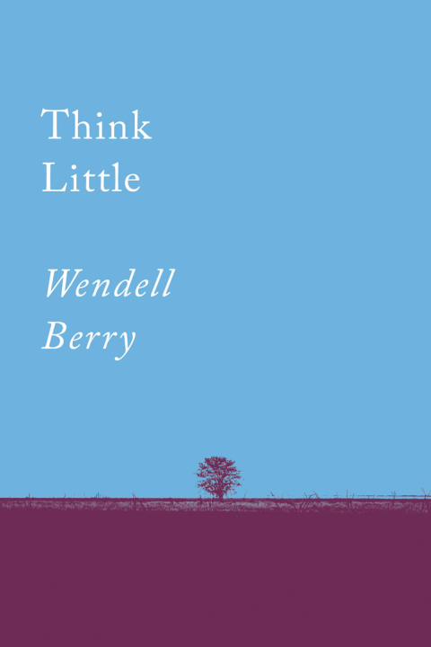 Cover image for book Think Little