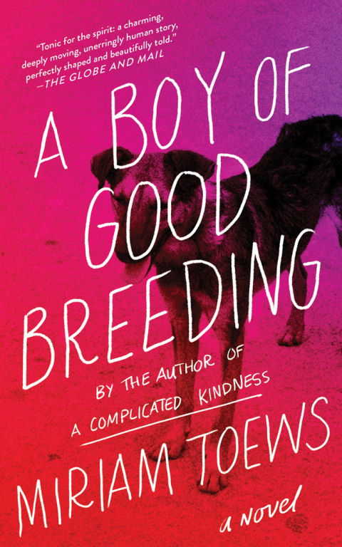 Cover image for book A Boy of Good Breeding