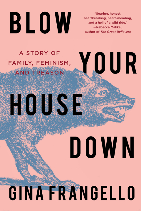 Cover image for book Blow Your House Down
