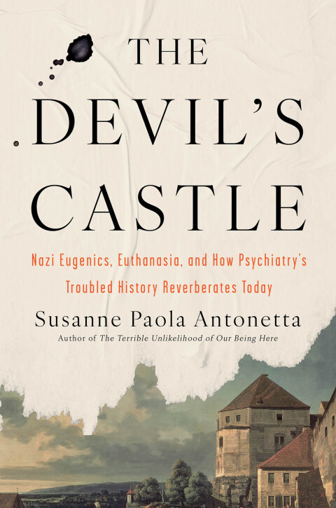 Cover image for book The Devil's Castle