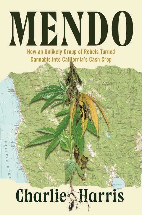 Cover image for book Mendo