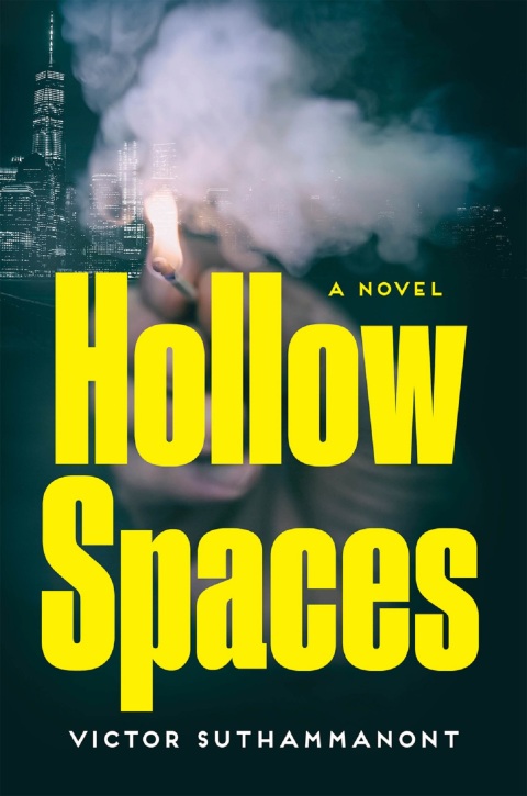 Cover image for book Hollow Spaces