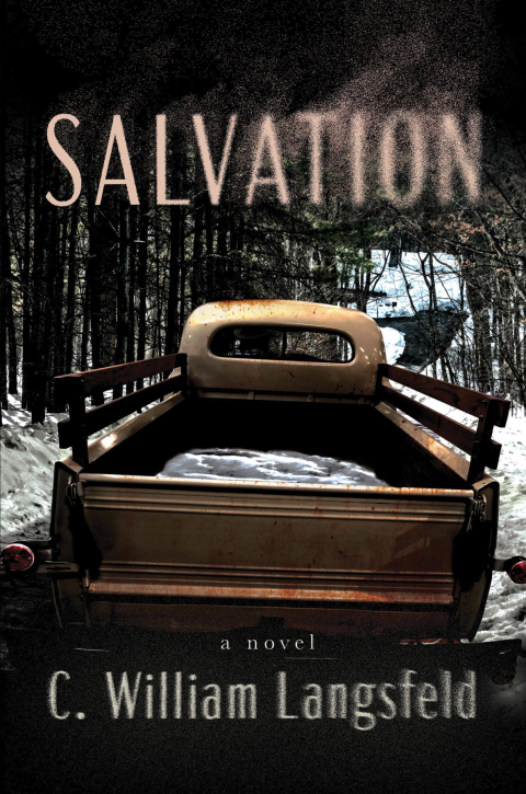 Cover image for book Salvation