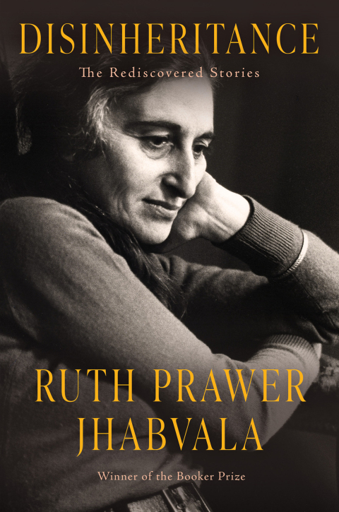 Cover image for book Disinheritance