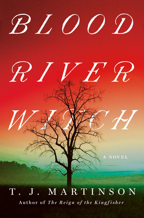 Cover image for book Blood River Witch