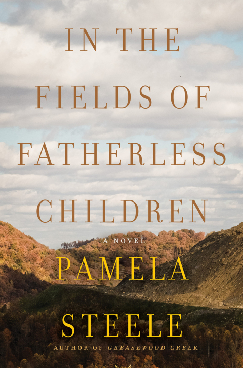 Cover image for book In The Fields of Fatherless Children