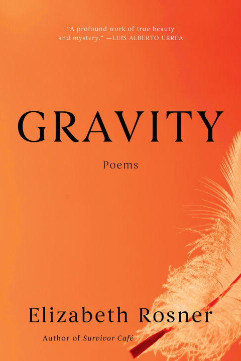 Cover image for book Gravity