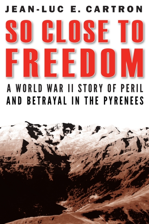 Cover image for book So Close to Freedom