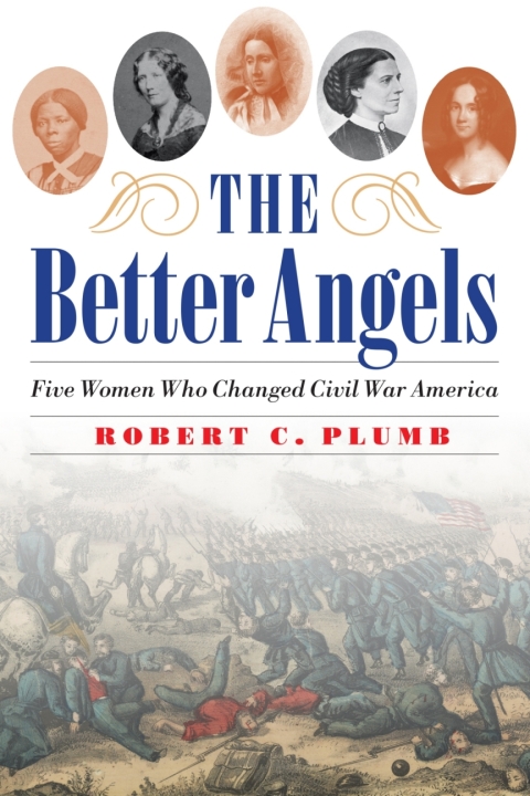 Cover image for book The Better Angels