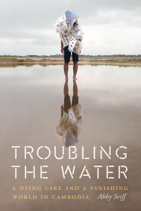 Cover image for book Troubling the Water